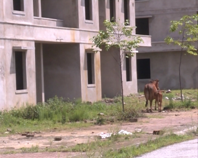 VAN DE NHA O CHO CONG NHAN 2.8.avi.Still002.jpg