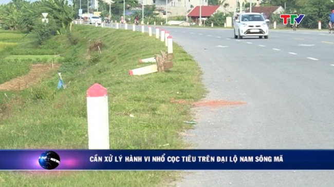 can xu ly nho coc tieu.jpg