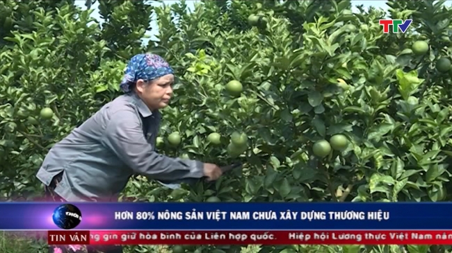 hon 80 nong san VN.jpg