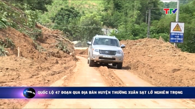 qlo 47 doan qia thuong xuan.jpg