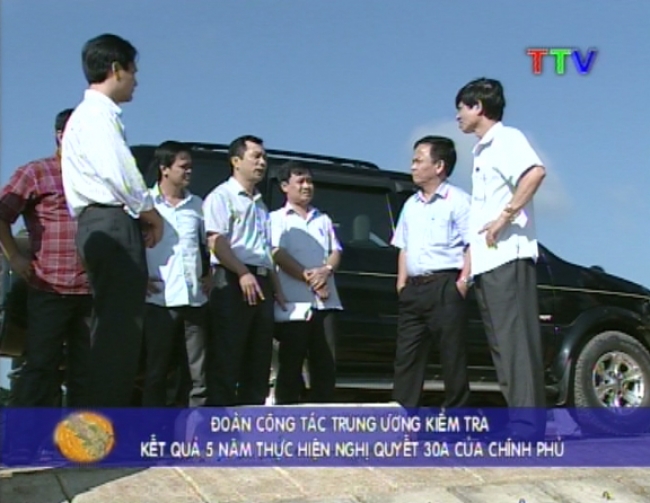 5n1.jpg