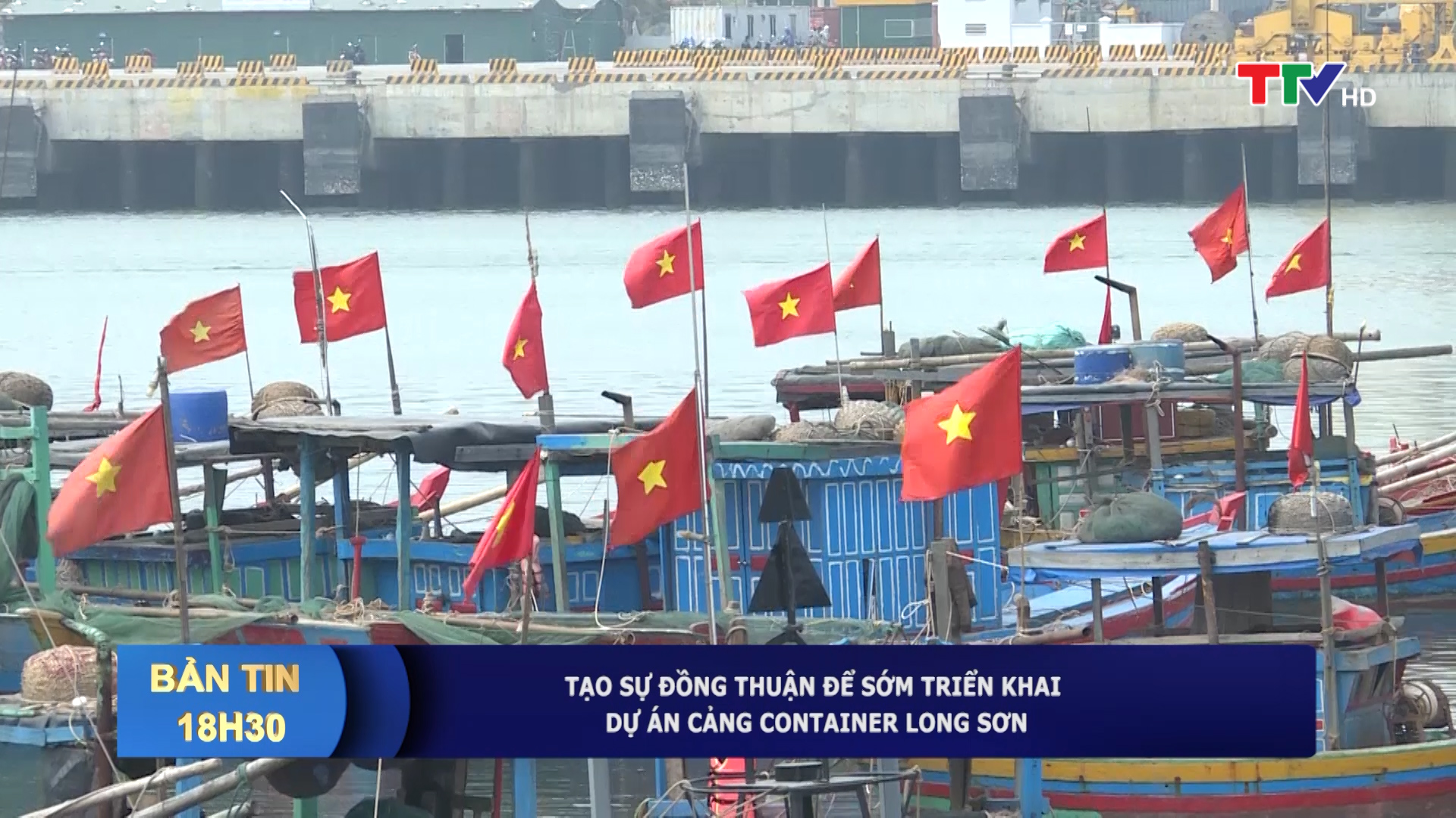 Tạo sự đồng thuận để sớm triển khai dự án cảng Container Long Sơn