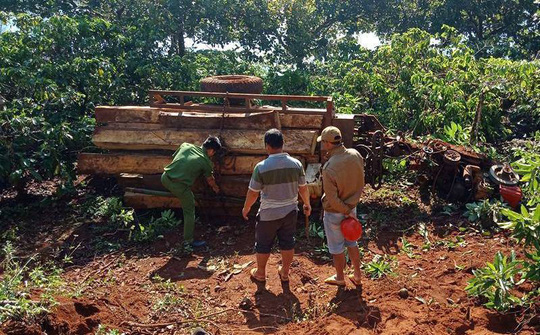 Chiếc máy cày chở gỗ bị lật khỏi đường