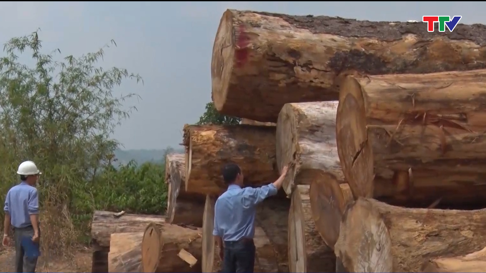 Số tang vật là gỗ lậu bị vận chuyển trái phép