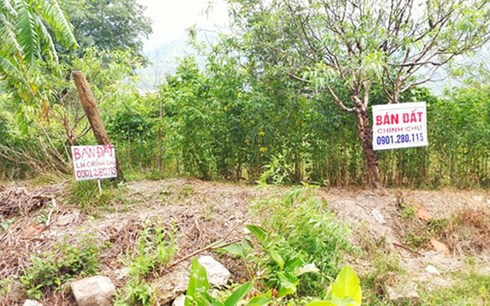 T&igrave;nh trạng mua-b&aacute;n, chuyển nhượng đất đai tại V&acirc;n Đồn đang biến động phức tạp, c&oacute; hiện tượng &ldquo;sốt đất ảo&rdquo;