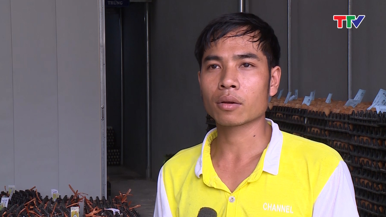 Anh Nguyễn Văn Nhân, Thôn Trung Hà, xã Tuy Lộc, huyện Hậu Lộc: Mình làm với nhà đầu tư, công ty thấy nhiều phấn khởi hơn, không phải lo đi tiêu thu  nhỏ lẻ bên ngoài.