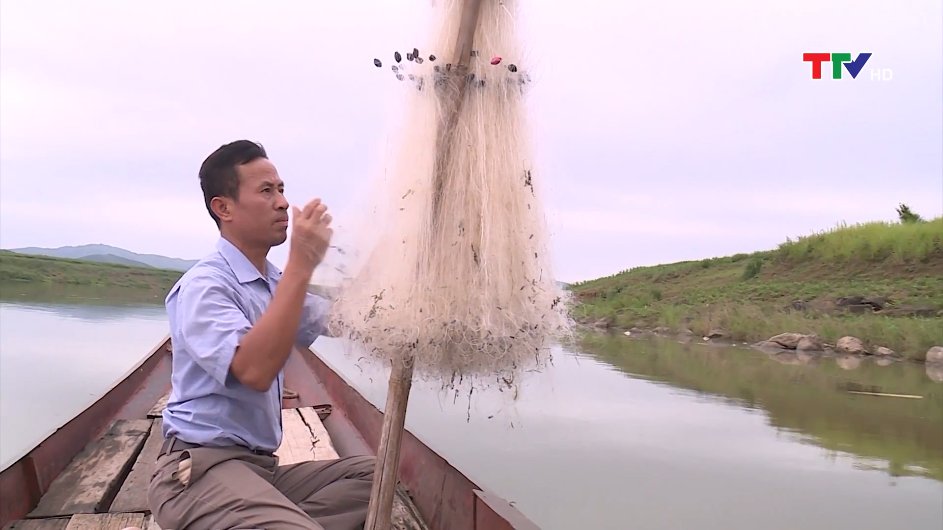 Anh Trần Quang Vinh (Làng chài Tân Phong, Cẩm Phong, Cẩm Thủy) kể rằng:  &quot;Cá lăng hay đánh bắt được vào tháng 3, tháng 4. Bắt cá lắng lúc thì bắt được ở ghềnh đá, lúc thì bắt được ở bãi bờ. Cá lăng bây giờ hiếm lắm, thỉnh thoảng mới đánh được &quot;