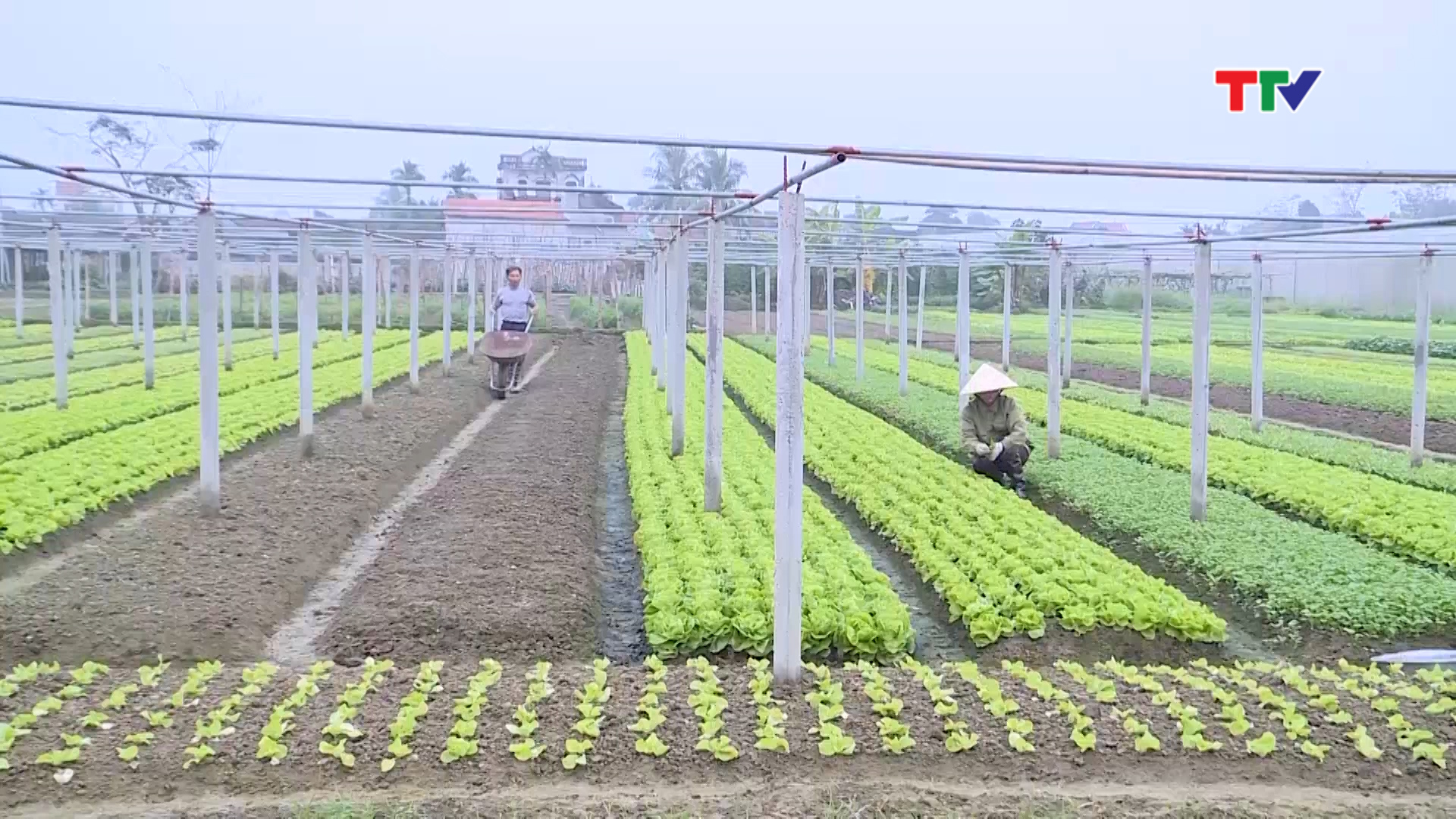 Hỗ trợ kinh phí sử dụng sản phẩm, dịch vụ công ích thủy lợi