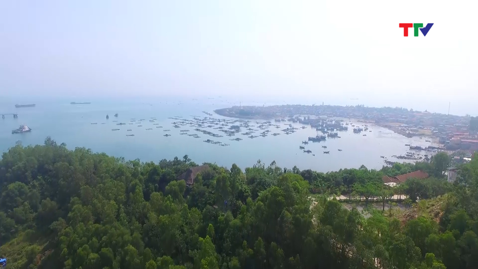  Hàng năm, biển Hải Hòa đón tới gần 300 nghìn lượt khách.