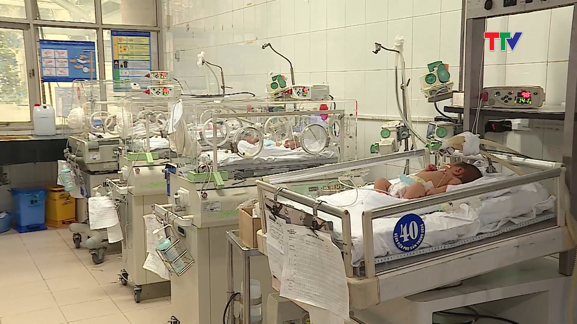 Thống kê của ngành Y tế cho biết, tại Việt Nam, tỷ lệ vô sinh hiếm muộn chiếm tới gần 8% dân số.