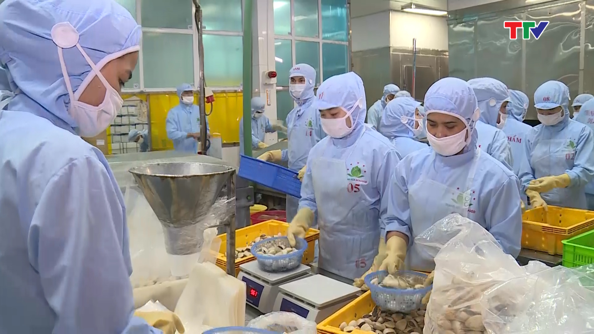 Đoàn đã đến thăm, kiểm tra công tác sản xuất, chế biến các sản phẩm ngao xuất khẩu của Công ty Cổ phần xuất nhập khẩu thuỷ sản Thanh Hoá.