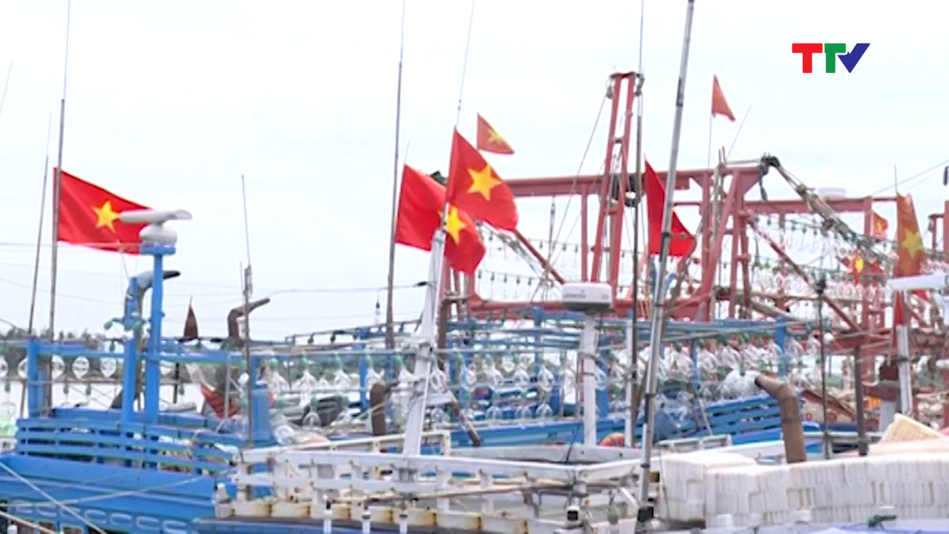  toàn tỉnh có 28 phương tiện tàu thuyền được các chủ phương tiện đăng ký khai thác ở các ngư trường là Hoàng Sa, Trường Sa và khu vực Nhà giàn DK1