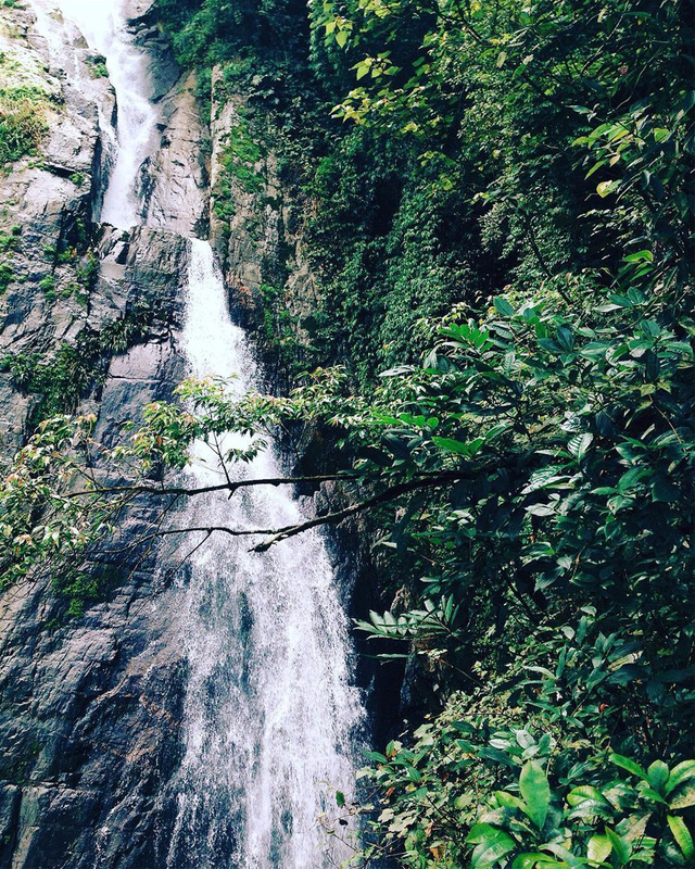 Nằm ẩn mình sâu trong lòng núi rừng, thác Bạc hiện lên thật sinh động với hình ảnh dòng nước nhỏ chảy từ khe núi. @tho_tranggg