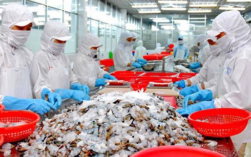 Các doanh nghiệp Việt đang nỗ lực nâng cao chất lượng hàng thủy sản xuất khẩu. (Ảnh minh họa: KT)