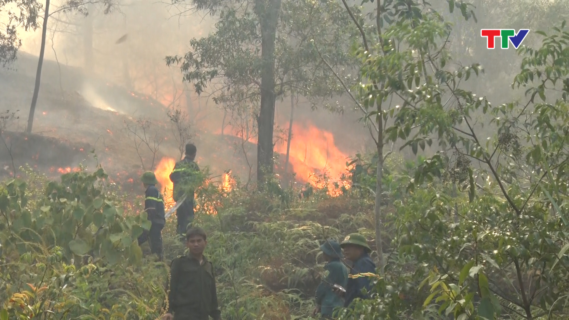 Huyện Hậu Lộc đã huy động toàn bộ lực lượng 4 tại chỗ kết hợp với , kiểm lâm, nhân dân địa phương- đơn vị phòng cháy chữa cháy số 3 Thị xã Bỉm sơn đã nỗ lực khắc phục đám cháy. 
