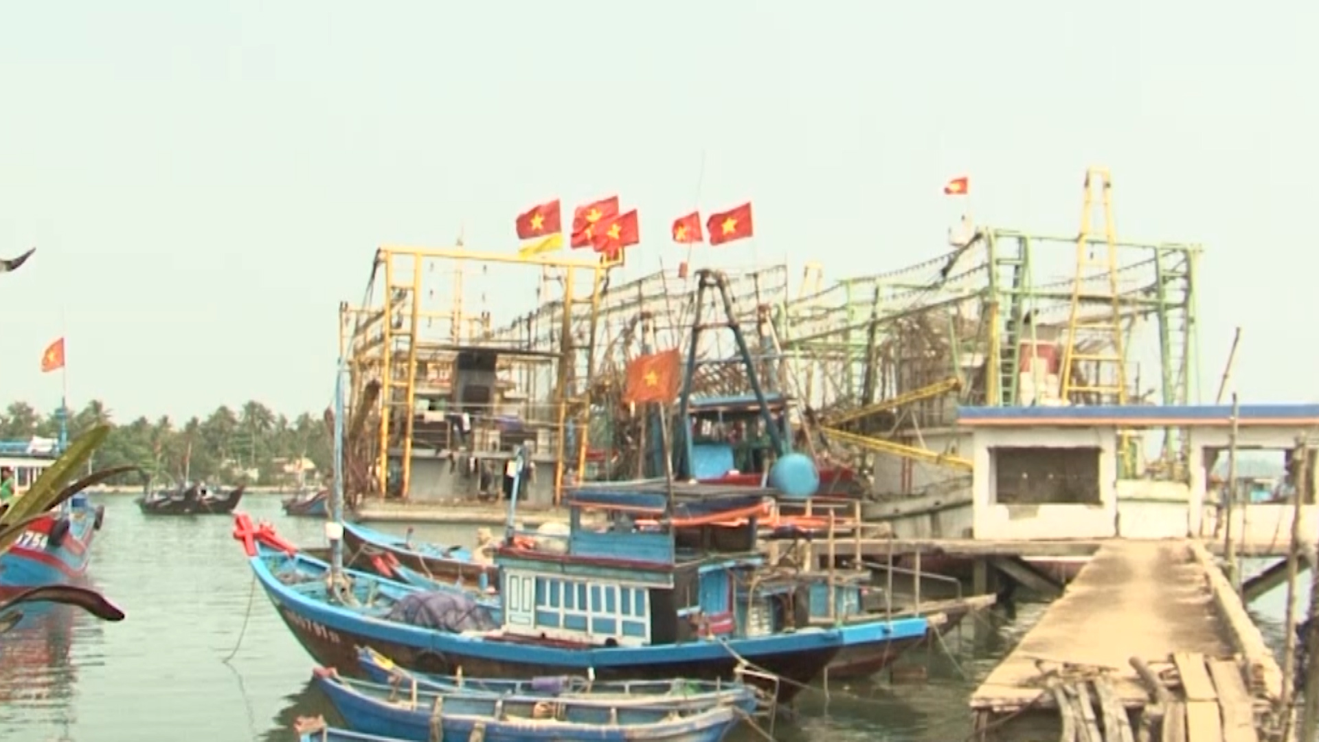 Thiếu lao động đi biển, Quảng Nam tạm dừng đóng mới tàu cá