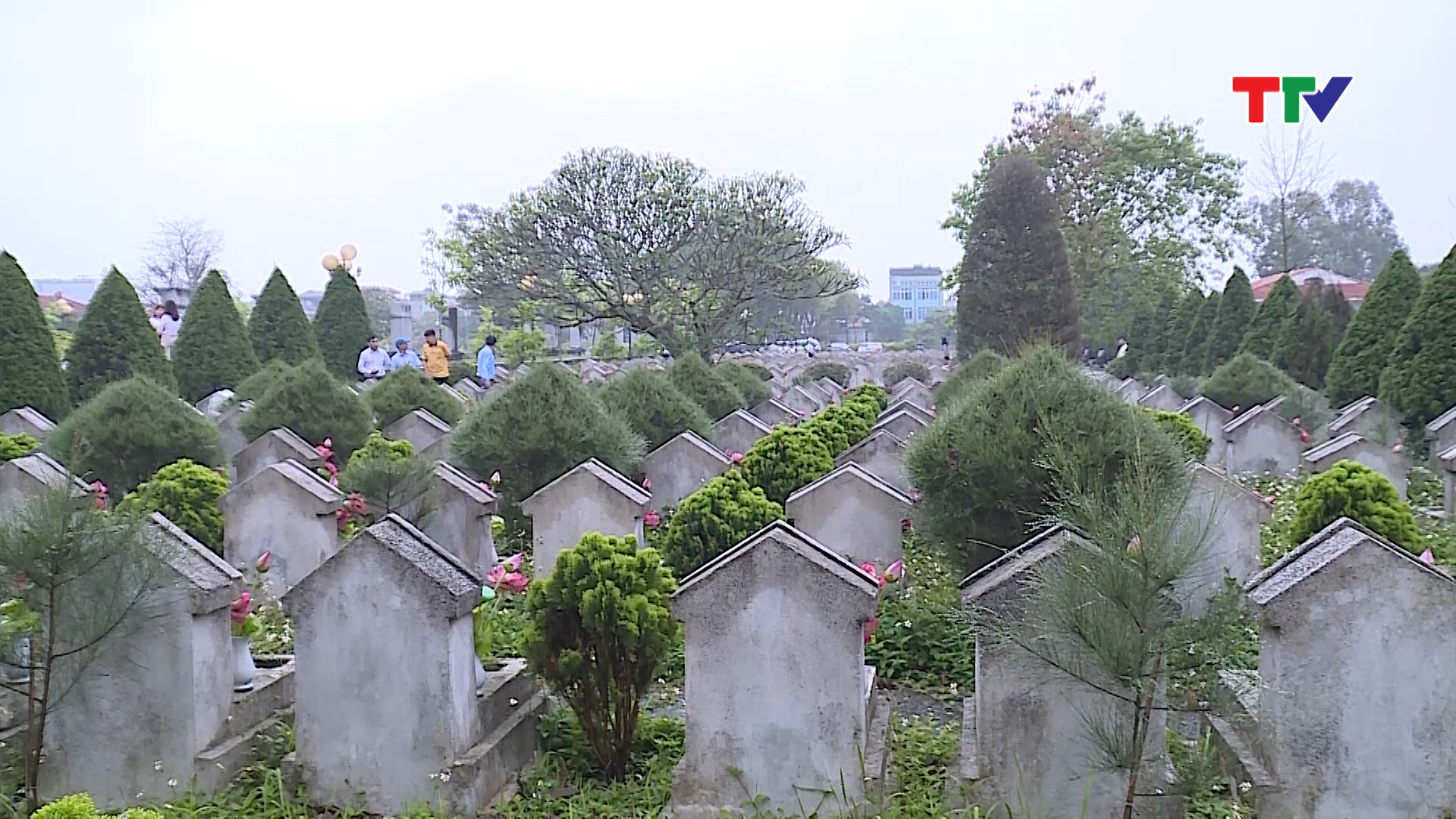 Dự kiến đến ngày 23/7, Cổng thông tin điện tử tra cứu liệt sĩ, mộ liệt sĩ và nghĩa trang liệt sĩ sẽ chính thức được khai trương.