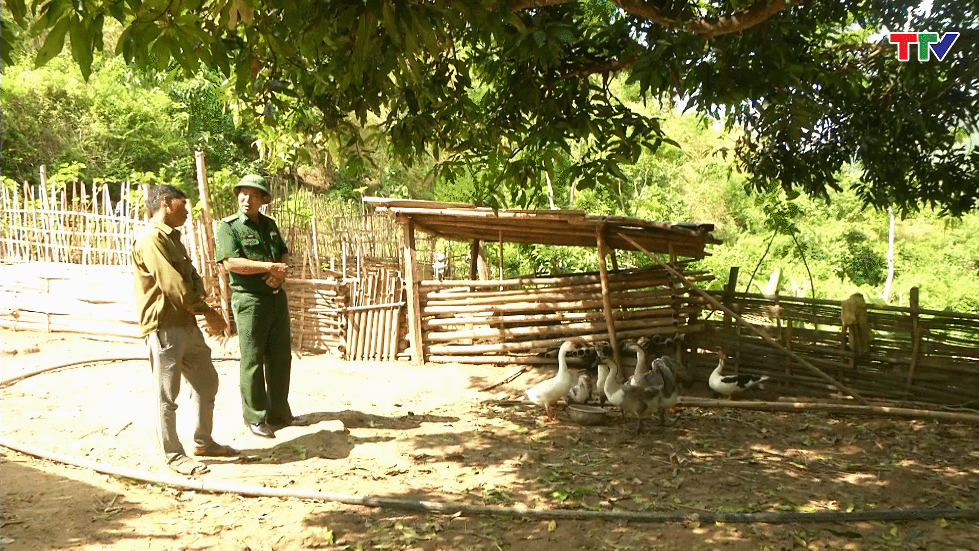 những người lính mang quân hàm xanh của tổ công tác Đoàn Kết đã cùng với ban quản lý bản tuyên truyền, hướng dẫn cho đồng bào thay đổi nếp nghĩ, cách làm, biết cách áp dụng khoa học - kỹ thuật trong chăn nuôi, trồng trọt