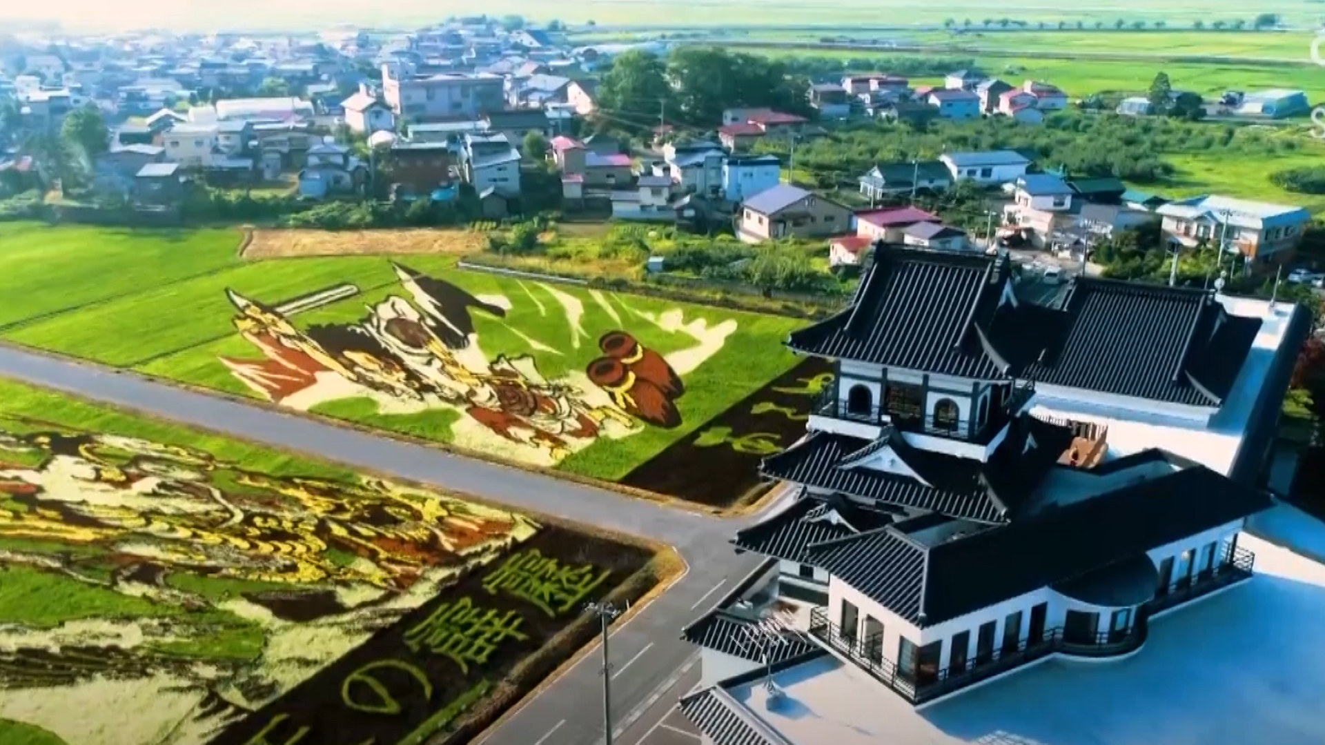 Tại Nhật Bản, tháng 6 đến tháng 9 hàng năm là thời điểm những bức tranh khổng lồ ra đời và là thời điểm lý tưởng nhất để du khách thưởng ngoạn phong cảnh rực rỡ của ngôi làng Inakadate.
