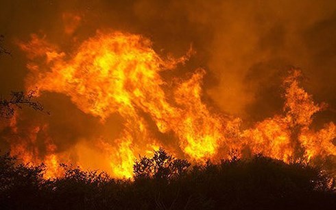 Cháy rừng lan rộng tại bang California, Mỹ (Ảnh: AP)