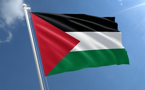 Cờ Palestine. Ảnh: Flag Shop.