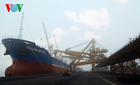 Từ năm 2013, Việt Nam bắt đầu nhập khẩu than và sản lượng than nhập khẩu tăng lên theo từng năm.