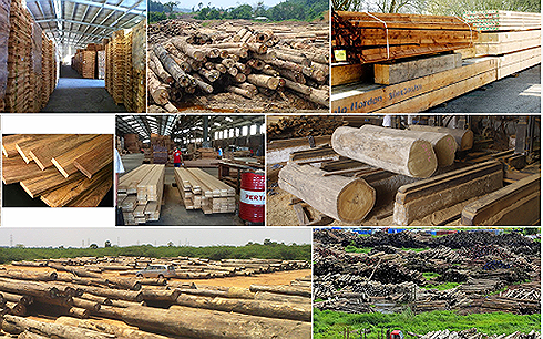 Năm 2018, ngành gỗ Việt Nam dự kiến sẽ cán mốc xuất khẩu 9 tỷ USD.