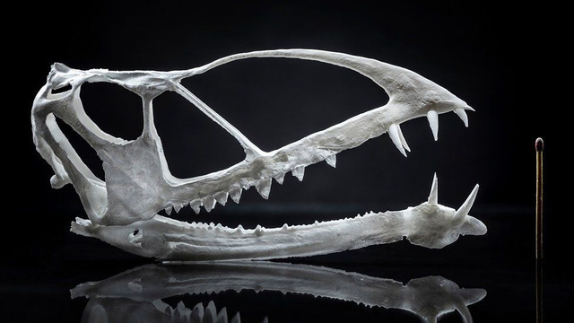 Mô hình in 3D đầu thằn lằn bay được tìm thấy tại Utah - Ảnh từ Đại học Brigham Young.