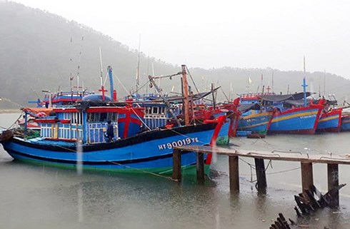 Các tỉnh, thành phốtừ Quảng Ninh đến Quảng Bình đã phối hợp hướng dẫn cho tàu thuyền di chuyển tránh bão số 4. (Ảnh minh họa)