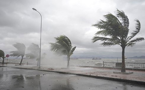 Nhiều tỉnh, thành có mưa lớn, gió giật mạnh do ảnh hưởng bão số 4. (Ảnh minh họa: KT)