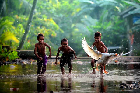 Tiếng Bahasa Indonesia là ngôn ngữ chính thức ở đất nước 260 triệu dân. Tiếng Java cũng phổ biến với 84 triệu người sử dụng. Ngoài ra, quốc gia này còn có hơn 700 ngôn ngữ khác. Riêng ở tỉnh Papua, người dân dùng 270 ngôn ngữ. 