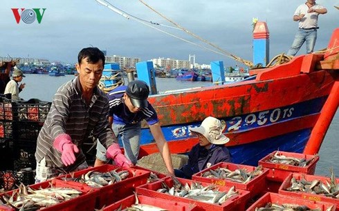 Truy xuất nguồn gốc hải sản một cách đầy đủ, minh bạch, góp phần xóa thẻ vàng lấy lại thẻ xanh cho ngành thủy sản Việt Nam.