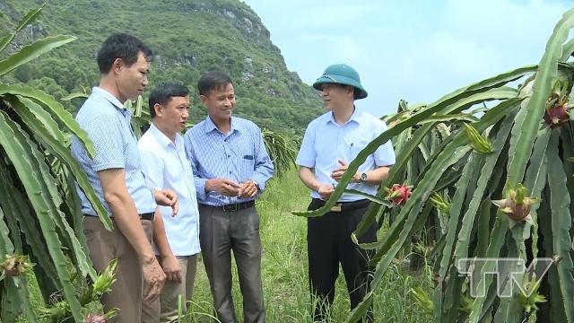 Năm 2013, phường Đông Cương, thành phố Thanh Hóa chính thức triển khai chủ trương nhất thể hóa chức danh Bí thư Đảng ủy và Chủ tịch UBND phường.