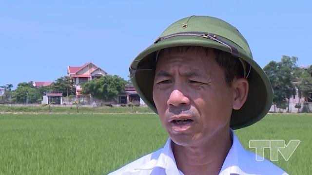 Ông Lê Văn Lợi - Bí thư kiêm Trưởng thôn Thung Thôn- xã Định Hòa, huyện Yên Định:  