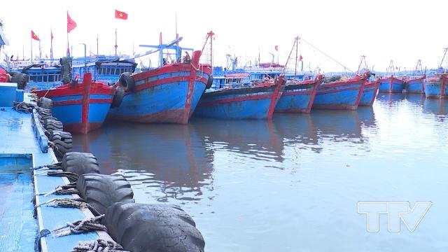 Toàn bộ số phương tiện khai thác của xã Hải Bình  đã vào nơi tránh trú bão an toàn. 