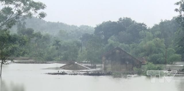 cơn bão số 4 đã gây thiệt hại cho nhiều diện tích cây trồng, nhà cửa, tài sản của người dân trên địa bàn huyện Cẩm Thủy