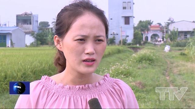 Đảng viên Lê Thị Vui- Khuyến nông viên  xã Hoằng Đạo, huyện Hoằng Hóa:  