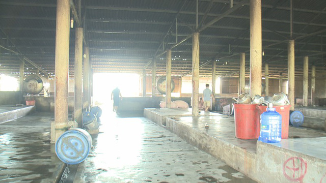Bên trong cơ sở giết mổ tập trung của bà Lan
