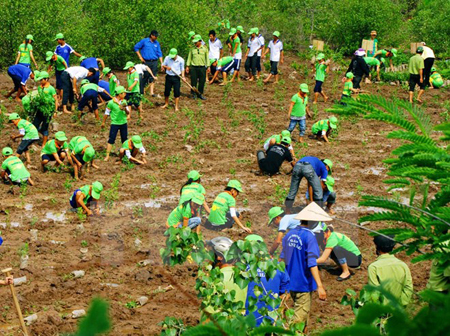 Việt Nam luôn chủ động thực hiện những giải pháp ứng phó với biến đổi khí hậu.