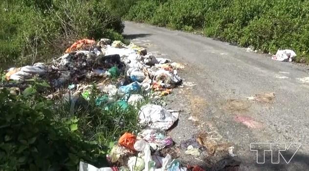 Nhếch nhác…bẩn thỉu…ô nhiễm…đó là những hình ảnh trực quan từ những bãi rác tự phát xuất hiện trên địa bàn xã Nguyên Bình, huyện Tĩnh Gia trong thời gian gần đây. 