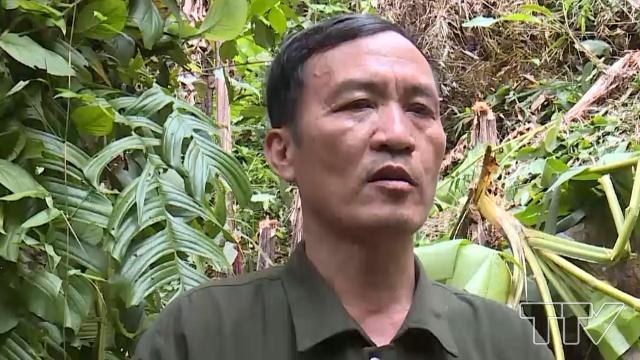 Ông Trịnh Trung Nhật- Hạt trưởng Hạt Kiểm lâm huyện Lang Chánh:  