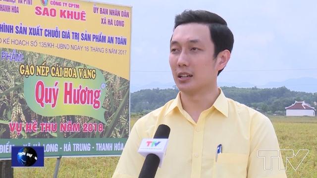 Anh Đỗ Thế Anh-Giám đốc Công ty CP thương mại Sao Khuê:  
