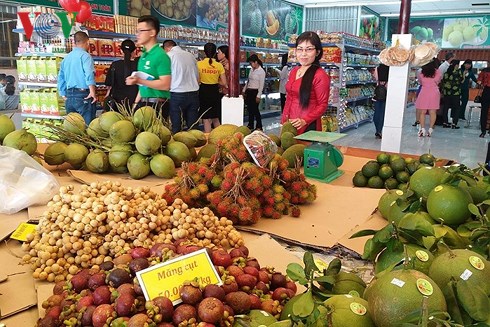 Hơn 90% rau quả của Việt Nam là xuất khẩu thô.