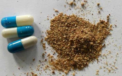Bột thuốc từ các viên nang có xét nghiệm cho thấy 99,7% là thịt người. Ảnh: SBS
