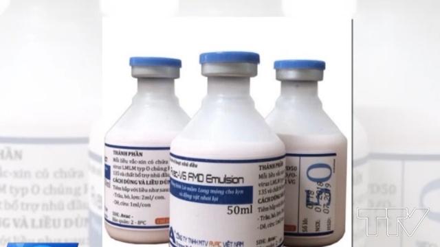 Vaccine phòng bệnh lở mồm long móng vừa được Việt Nam sản xuất thành công có tên gọi AVAC-V6 FMD Emulsion type O