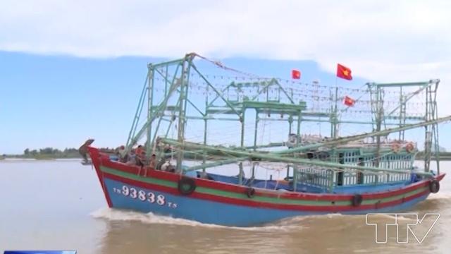 Thanh H&oacute;a c&oacute; 1.883 t&agrave;u c&aacute; c&ocirc;ng suất từ 90CV trở l&ecirc;n