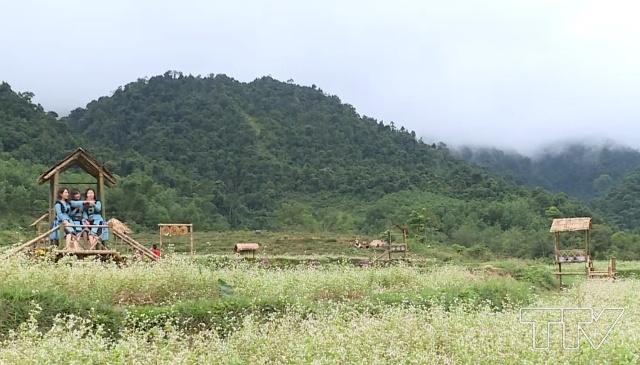 Điểm nhấn của khu du lịch là thung lũng hoa tam giác mạch