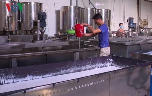 Người dân làng nghề bột Sa Đéc áp dụng khoa học công nghệ trong sản xuất.