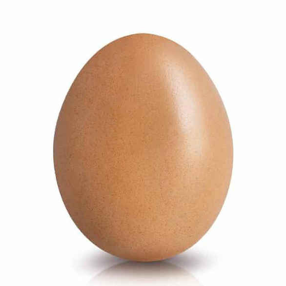 Hình ảnh quả trứng trong bài đăng trên Instagram của tài khoản world_record_egg đang giữ kỷ lục về lượt yêu thích - Ảnh: Instagram
