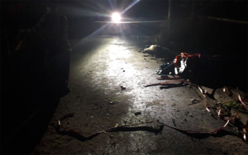 Hiện trường vụ việc